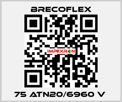 75 ATN20/6960 V  Brecoflex