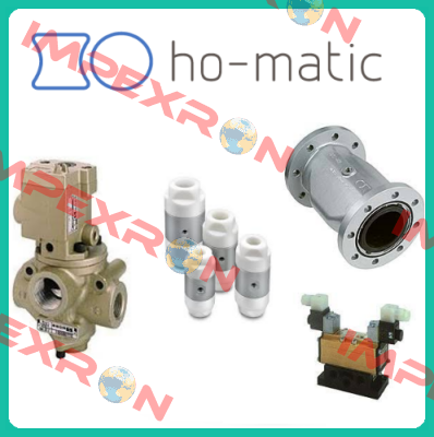 Typ QSV50 G (40050.211.000)  Ho-Matic AG