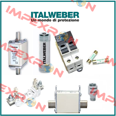 0105025  Italweber