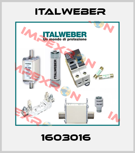 1603016  Italweber