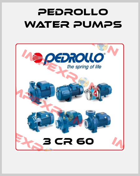 3 CR 60  Pedrollo Water Pumps
