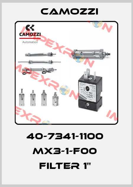 40-7341-1100  MX3-1-F00  FILTER 1"  Camozzi
