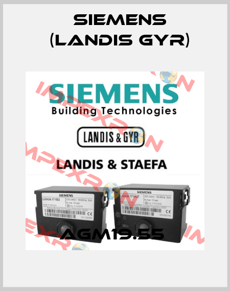 AGM19.55  Siemens (Landis Gyr)