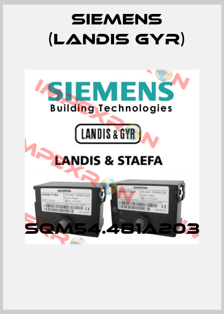 SQM54.481A203  Siemens (Landis Gyr)