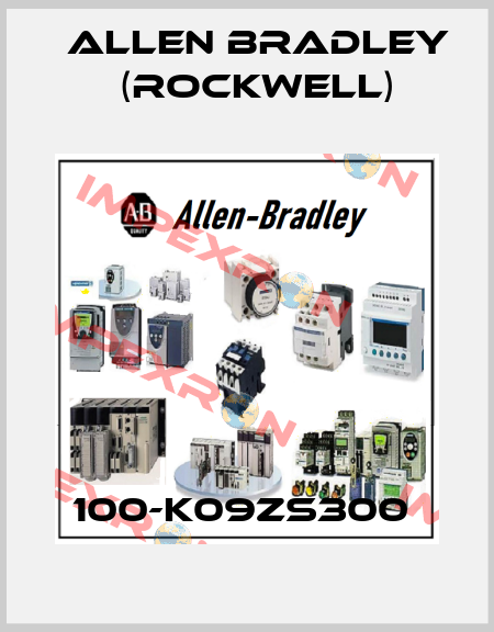 100-K09ZS300  Allen Bradley (Rockwell)