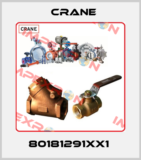 80181291XX1  Crane