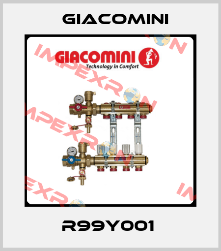 R99Y001  Giacomini