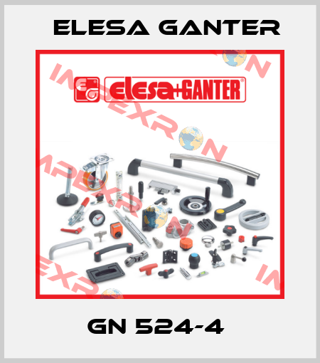 GN 524-4  Elesa Ganter