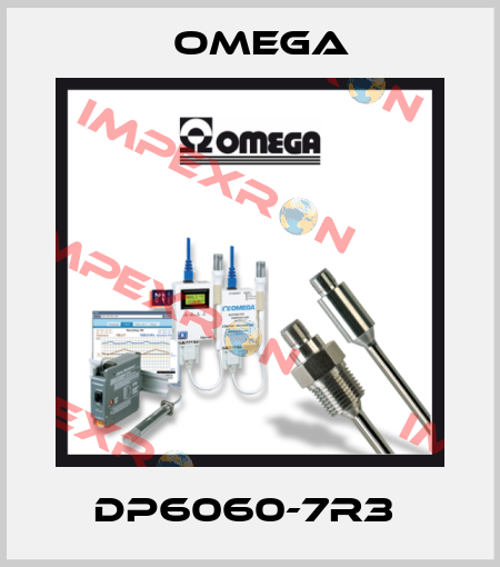 DP6060-7R3  Omega
