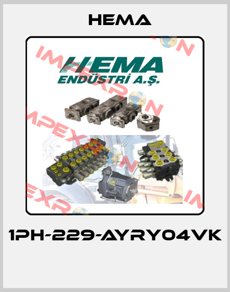 1PH-229-AYRY04VK  Hema