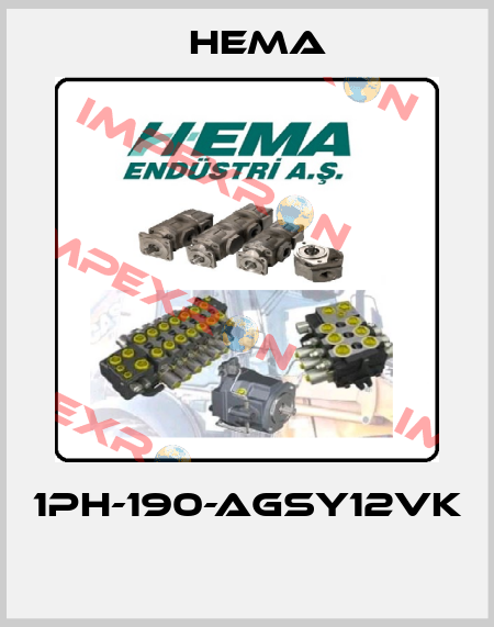 1PH-190-AGSY12VK  Hema