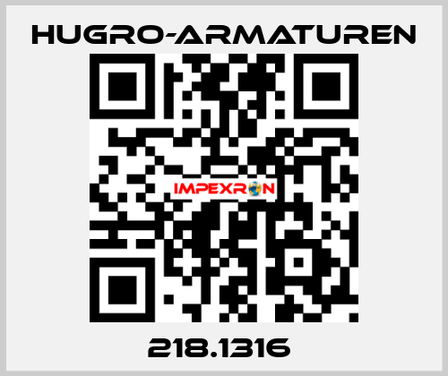 218.1316  Hugro-Armaturen