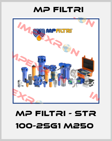 MP Filtri - STR 100-2SG1 M250  MP Filtri