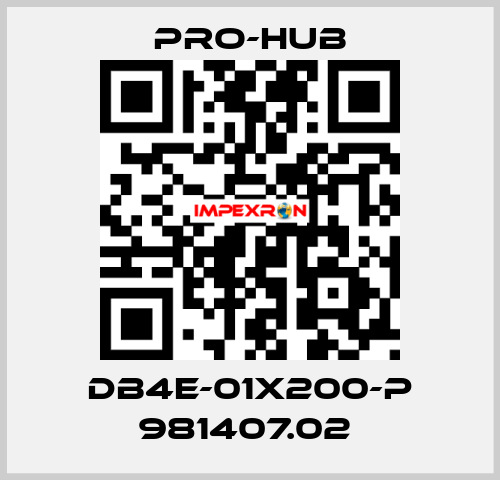 DB4E-01X200-P 981407.02  Pro-Hub