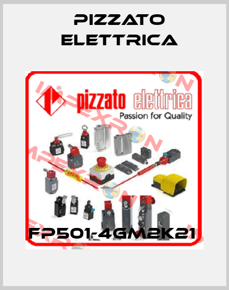 FP501-4GM2K21  Pizzato Elettrica