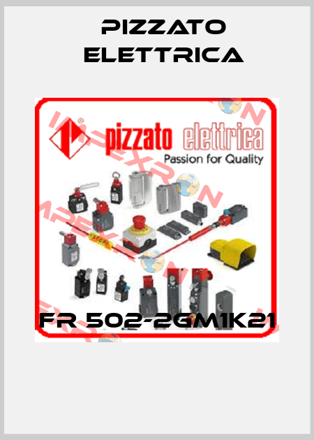 FR 502-2GM1K21  Pizzato Elettrica