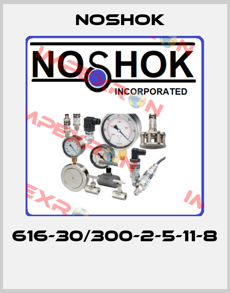 616-30/300-2-5-11-8  Noshok