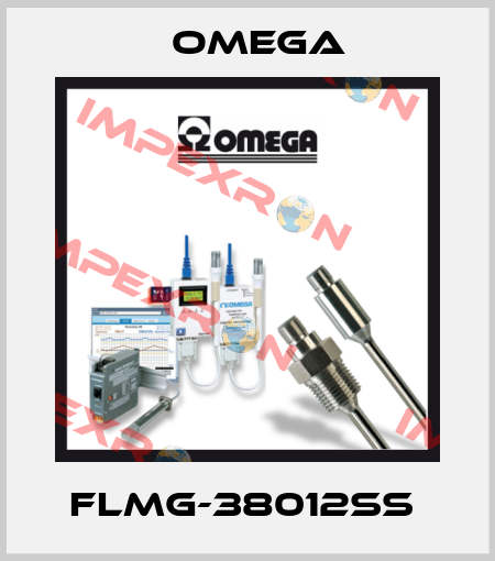 FLMG-38012SS  Omega
