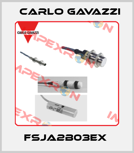 FSJA2B03EX  Carlo Gavazzi