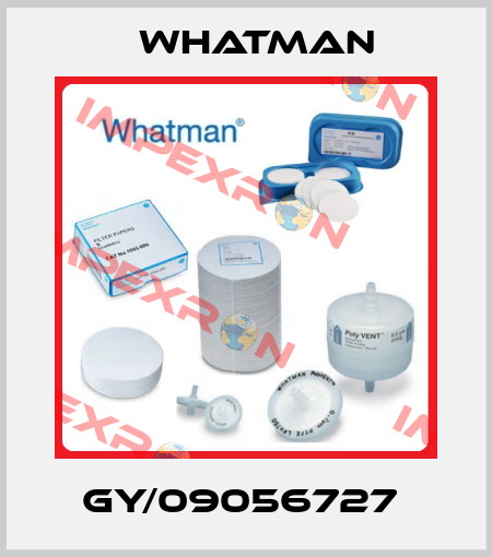 GY/09056727  Whatman