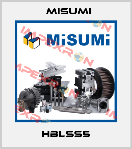 HBLSS5 Misumi