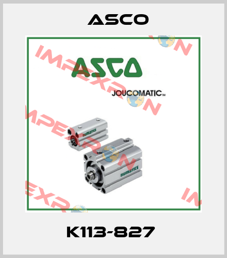 K113-827  Asco