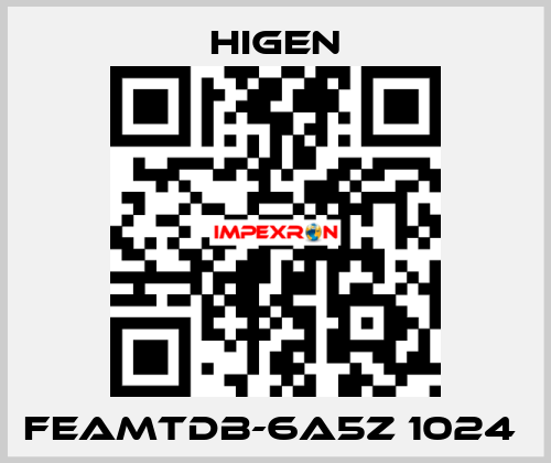 FEAMTDB-6A5Z 1024  Higen