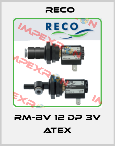 RM-BV 12 DP 3V ATEX Reco