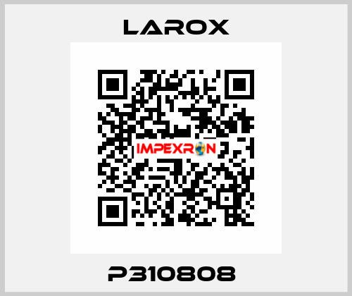 P310808  Larox