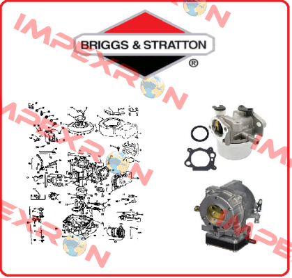 690929-BRI Briggs-Stratton