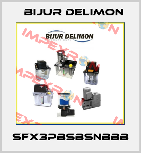 SFX3PBSBSNBBB Bijur Delimon