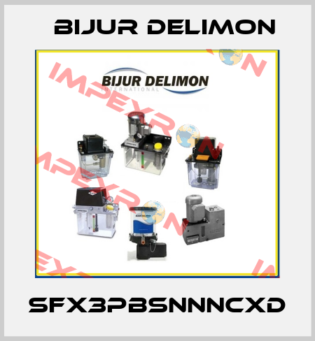SFX3PBSNNNCXD Bijur Delimon