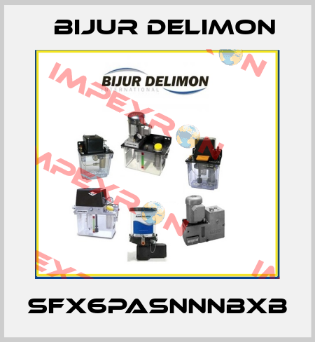SFX6PASNNNBXB Bijur Delimon