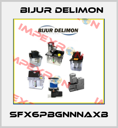 SFX6PBGNNNAXB Bijur Delimon