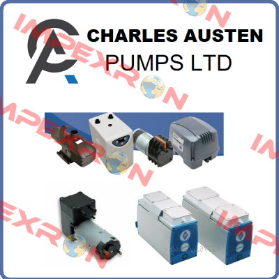 X87-233/11 Charles Austen Pumps