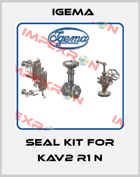Seal kit for KAV2 R1 N Igema