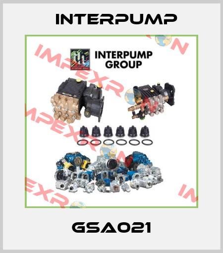 GSA021 Interpump