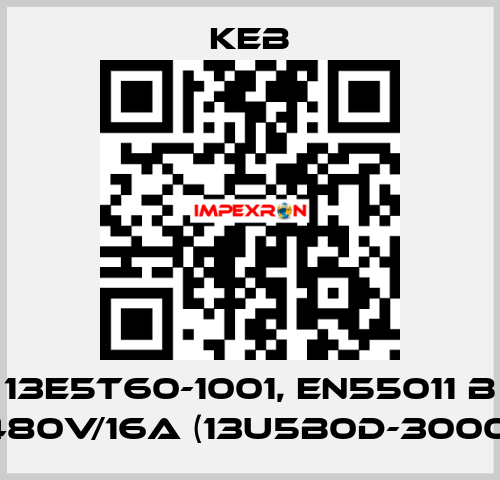 13E5T60-1001, EN55011 B 480V/16A (13U5B0D-3000) KEB