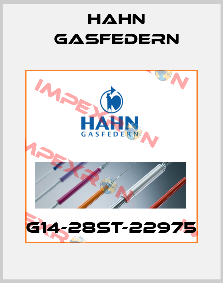 G14-28ST-22975 Hahn Gasfedern