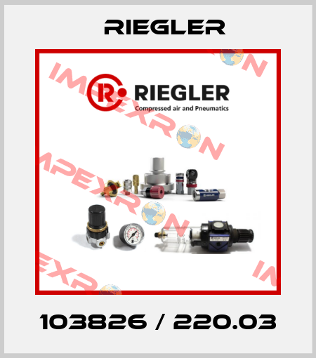 103826 / 220.03 Riegler