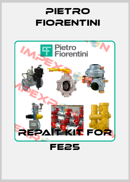 REPAIT KIT FOR FE25 Pietro Fiorentini