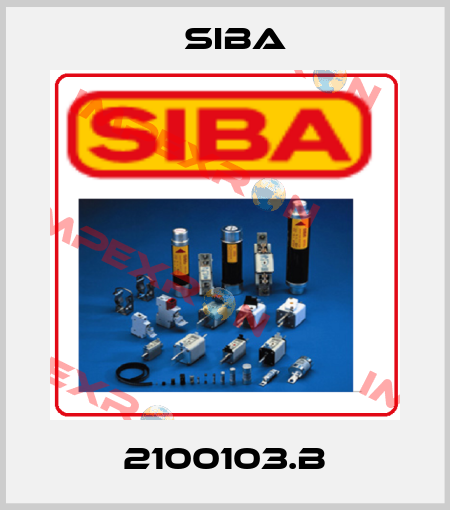 2100103.B Siba