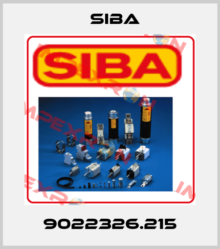 9022326.215 Siba