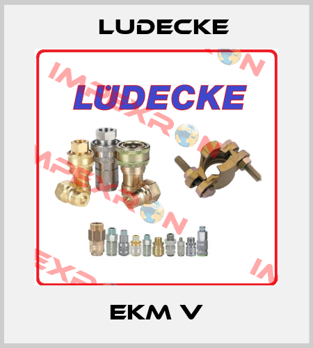 EKM V Ludecke