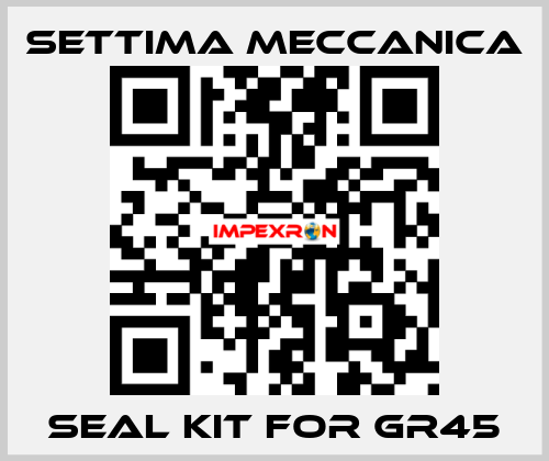 Seal kit for GR45 Settima Meccanica