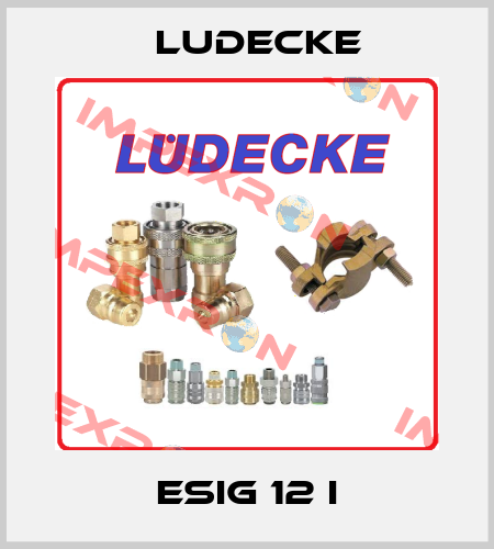 ESIG 12 I Ludecke