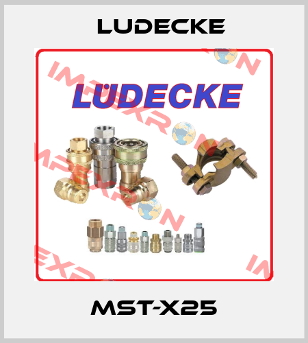 MST-X25 Ludecke