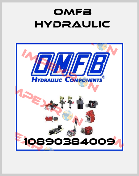 10890384009 OMFB Hydraulic
