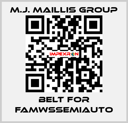 belt for FAMWSSEMIAUTO M.J. MAILLIS GROUP