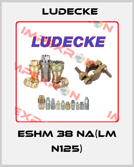 ESHM 38 NA(LM N125) Ludecke